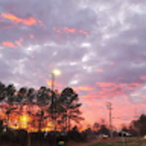 Meet your Posher, Audrey